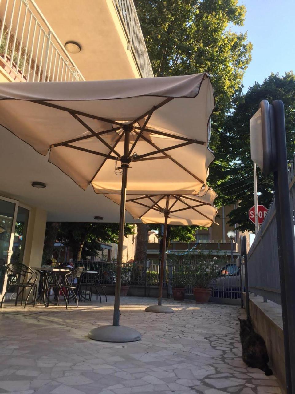 Hotel Alfa Anche In All Inclusive 里米尼 外观 照片